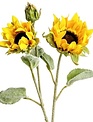 Garden Sunflower Spray Garden Sunflower Spray