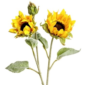 Garden Sunflower Spray