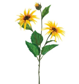 Starburst Sunflower Spray