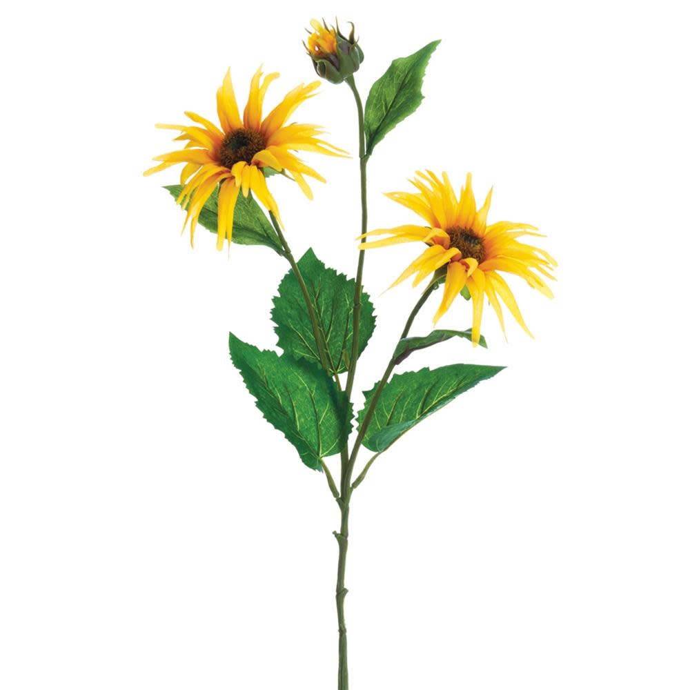 Starburst Sunflower Spray