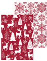 Holiday Two-Sided Quick Dry Kitchen Towel (4-Styles)