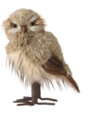 Winter Chalet Feathered Owl (2-Styles)