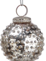 Mercury Glass Silver Ornament (6-Styles)