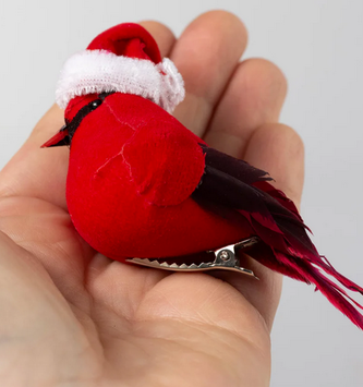 Feathered Cardinal w/ Toboggan