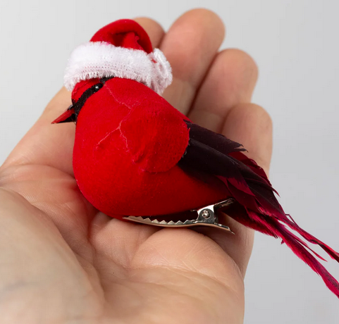Feathered Cardinal w/ Toboggan