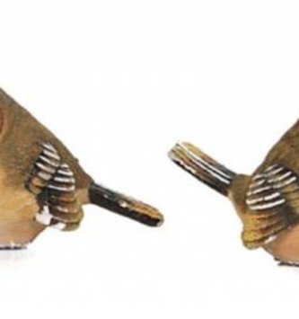 Small Green Bird (4 styles)