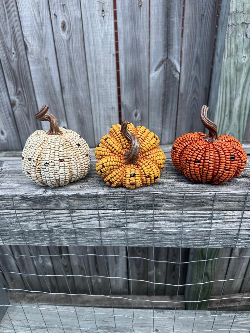 5.7" Harvest Corn Pumpkin (3-Colors)