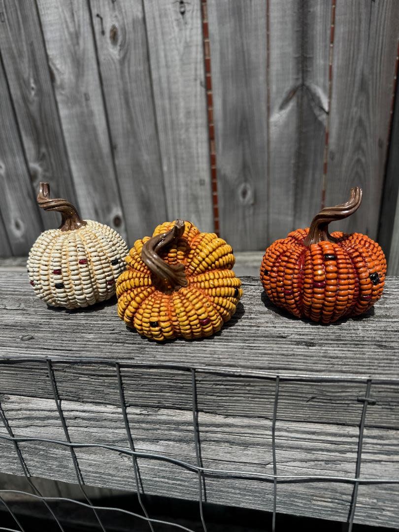 Set of 3 Mini Harvest Corn Pumpkins