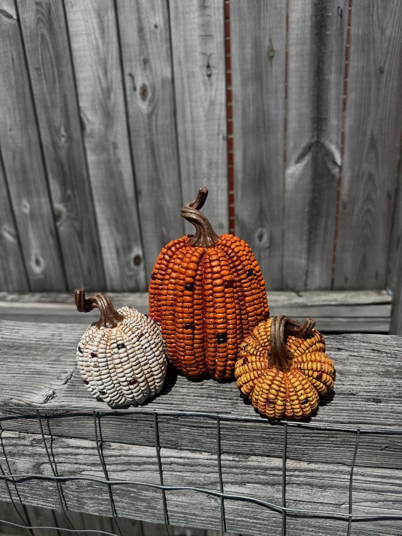 Triple Harvest Corn Pumpkins
