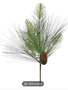 Mixed Long Needle Pine Pick w/ Cones
