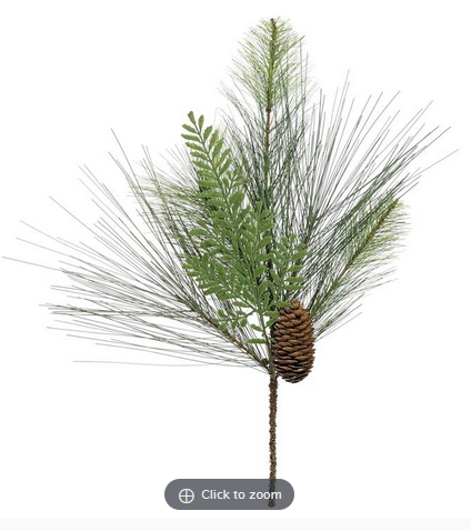 Mixed Long Needle Pine Pick w/ Cones