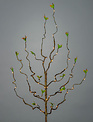 30" Green Leaf LED Branch