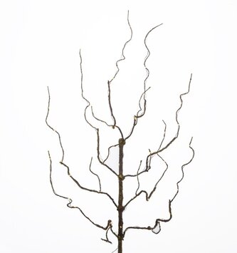 30" Twig LED Branch