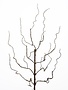 30" Twig LED Branch
