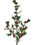 30" Fresh Cut Holly Spray