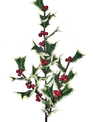 30" Fresh Cut Holly Spray