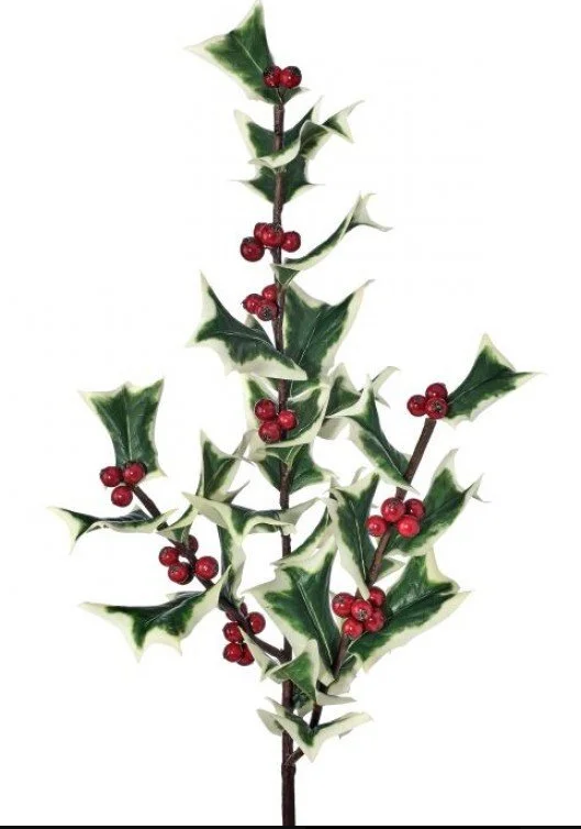 30" Fresh Cut Holly Spray