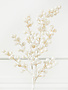 Iced White Beaded Berry Spray