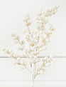 Iced White Beaded Berry Spray