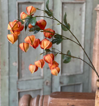 38" Chinese Lantern Branch (2-Colors)