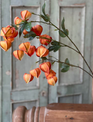 38" Chinese Lantern Branch (2-Colors)
