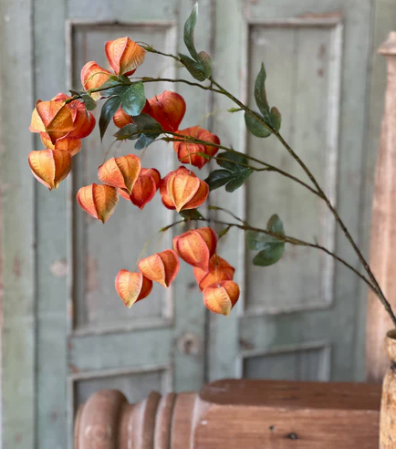 38" Chinese Lantern Branch (2-Colors)