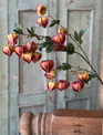 38" Chinese Lantern Branch (2-Colors)