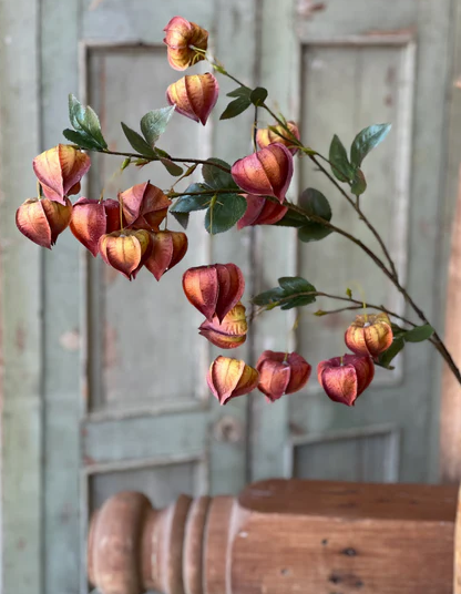 38" Chinese Lantern Branch (2-Colors)
