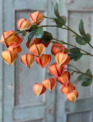 38" Chinese Lantern Branch (2-Colors)