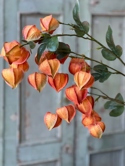 38" Chinese Lantern Branch (2-Colors)