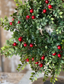 Red Berry Button Leaf Candle Ring