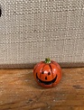 Mini Resin Jack-O-Lantern (4-Styles)