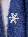 Magnetic Holiday Brooch (5-Styles)