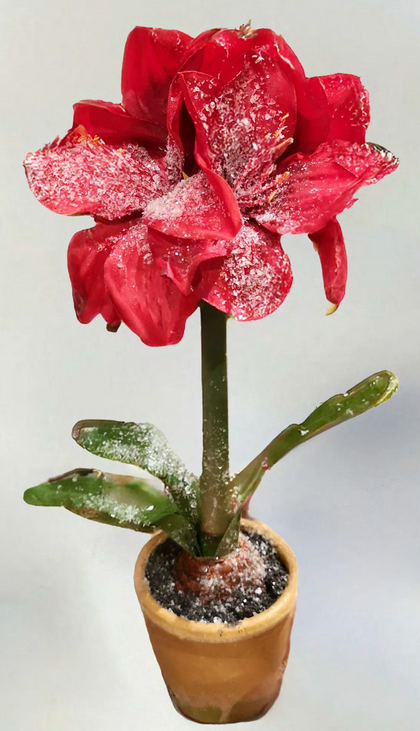 15" Potted Amaryllis (2-Colors)