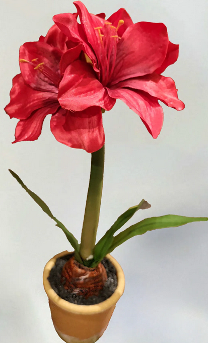 15" Potted Amaryllis (2-Colors)