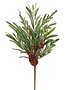 Pinecone Eucalyptus Pine Pick
