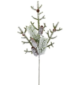 Snow Covered Pine Spray