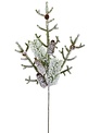 Snow Covered Pine Spray