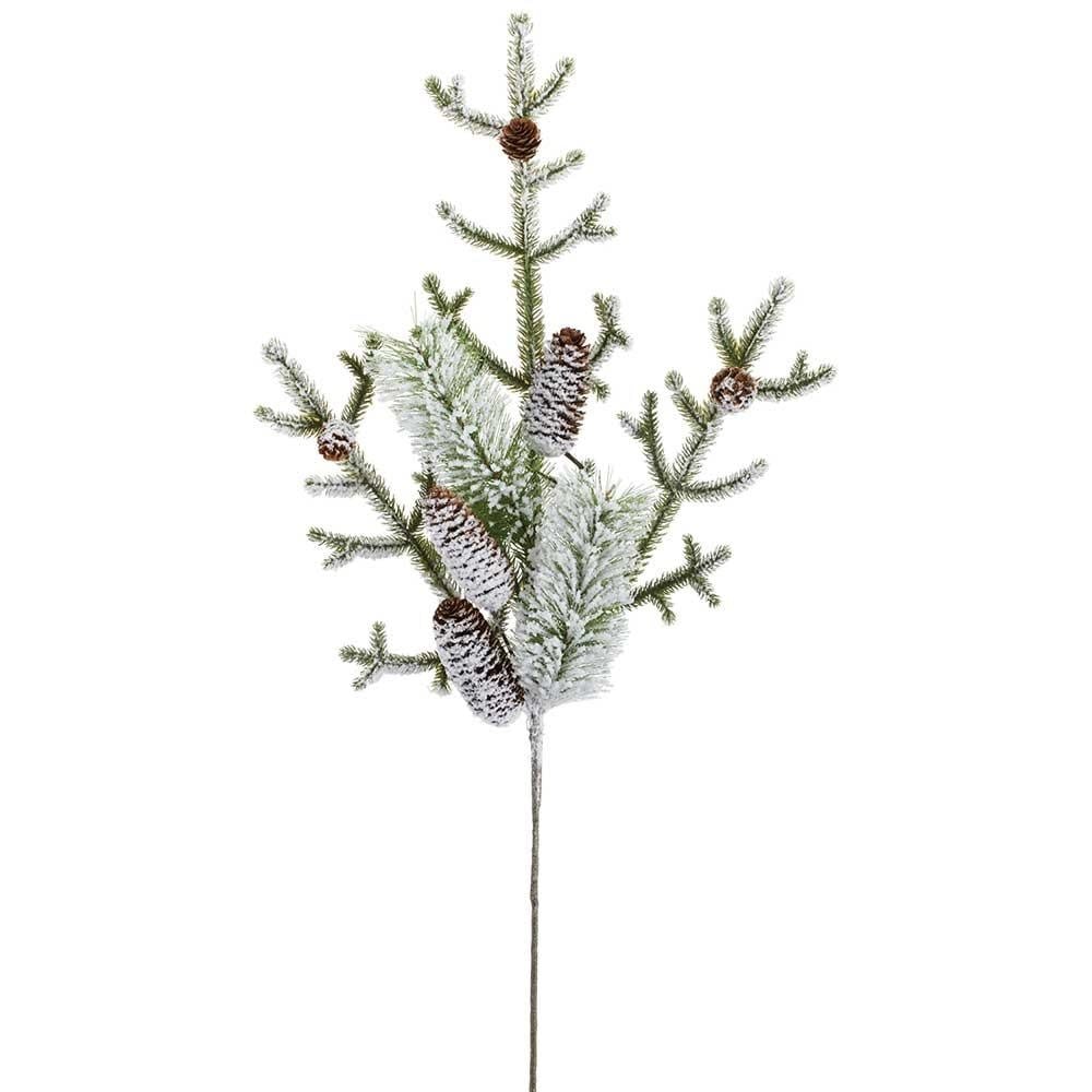 Snow Covered Pine Spray