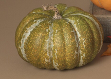 Country Harvest Pumpkin (2-Sizes) (3-Colors)