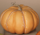 Country Harvest Pumpkin (2-Sizes) (3-Colors)