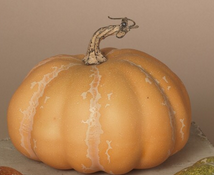 Country Harvest Pumpkin (2-Sizes) (3-Colors)