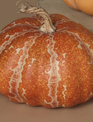 Country Harvest Pumpkin (2-Sizes) (3-Colors) Country Harvest Pumpkin (2-Sizes) (3-Colors)