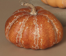 Country Harvest Pumpkin (2-Sizes) (3-Colors)