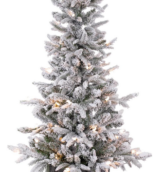 4' Flocked Frasier Fir in Pot
