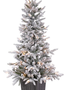 4' Flocked Frasier Fir in Pot