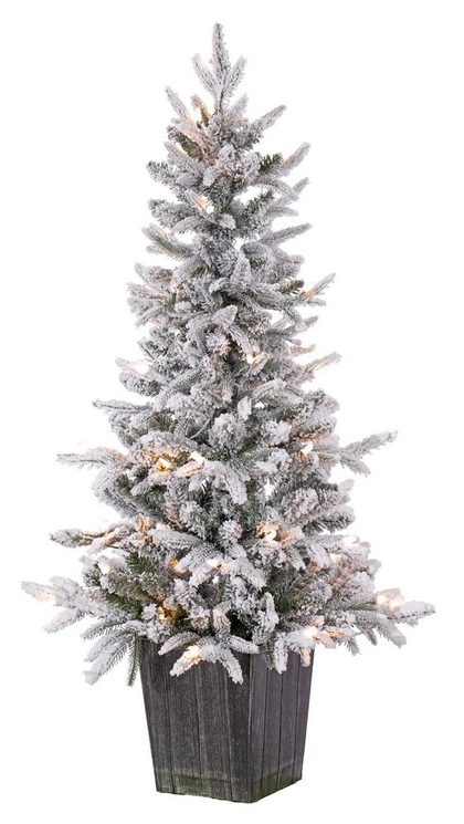 4' Flocked Frasier Fir in Pot 4' Flocked Frasier Fir in Pot