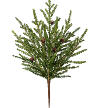 Mini Norfolk Pine Spray Mini Norfolk Pine Spray