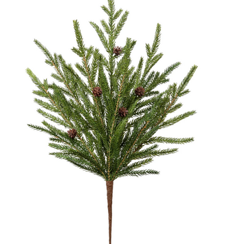 Mini Norfolk Pine Spray