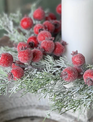 Icy Yule Berry Fir Candle Ring